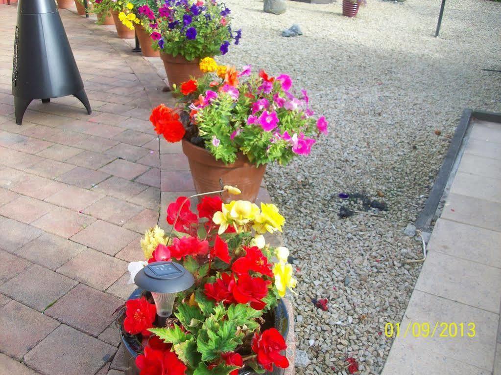 Krakow B&B ดันดอล์ก ภายนอก รูปภาพ
